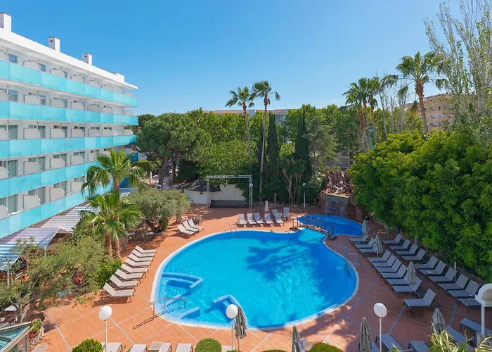 H10 Delfín - Adults Only