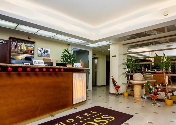 Hotel Boss