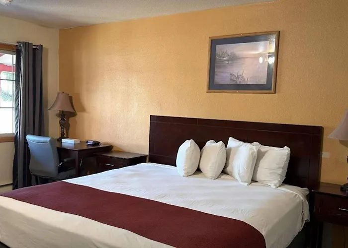 Econo Lodge Inn & Suites Montrose - Black Canyon Area