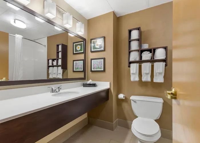Comfort Suites Regency Park