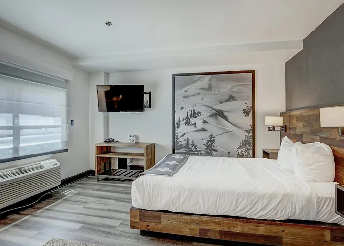 Gravity Haus Breckenridge Hotel