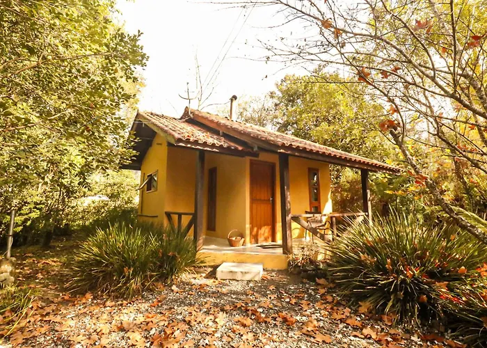 Café e Cabanas Lenha no Fogo