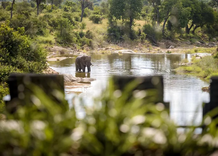 Nyala Safari Lodge