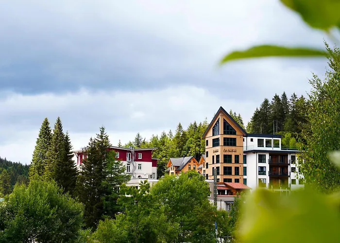 Das Waldhotel - Genuss&Wellness am Notschreipass Todtnau