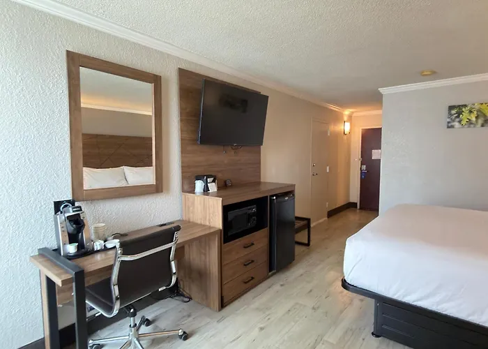 Wyndham Garden Summerville