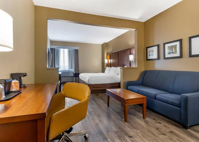 Comfort Suites At The University