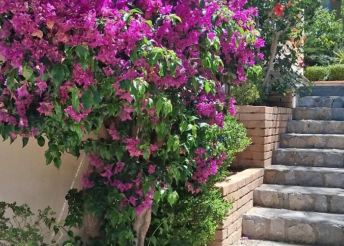 Residence Martina Marina di Camerota