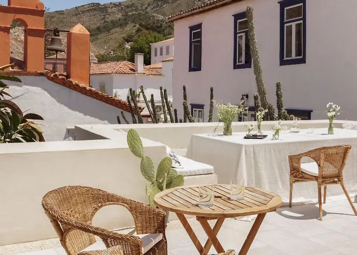 Cactus Hydra - Art Apartments
