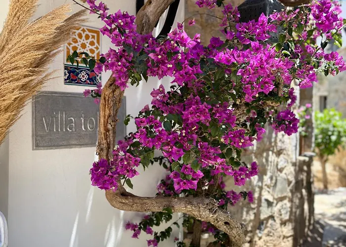 Hotel Villa Tokur