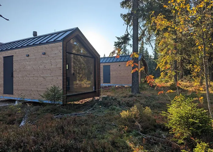 Arctic Nest Forest Cabin