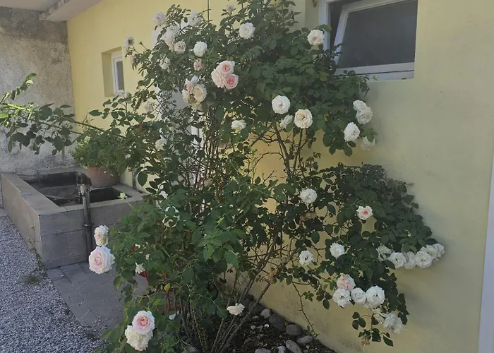 La Corte di Rosa San Vito al Tagliamento