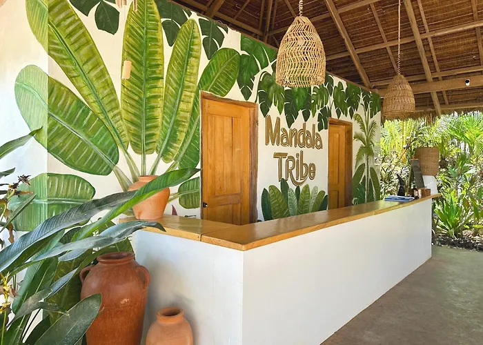 Mandala Tribe Treehouses