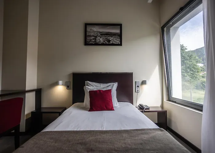 Hotel Sao Pedro - Arouca