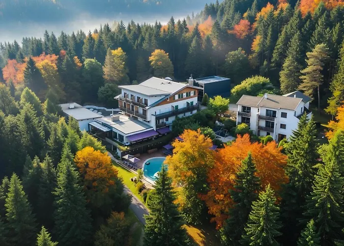 Logis Hôtel Clair Matin Le Chambon-sur-Lignon