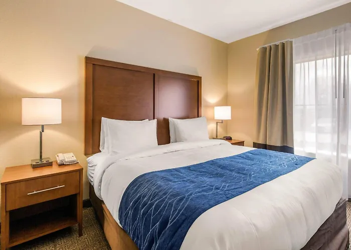 Comfort Suites Humble Bush Intercontinental Airport