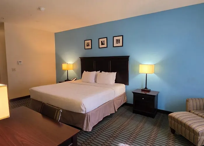 Wingate By Wyndham Lubbock Tx South