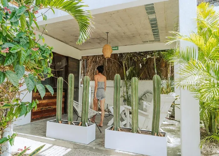 Outsite Todos Santos - Work, Connect, Explore
