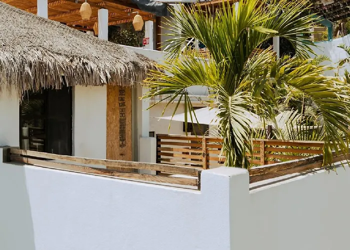 Outsite Todos Santos - Work, Connect, Explore