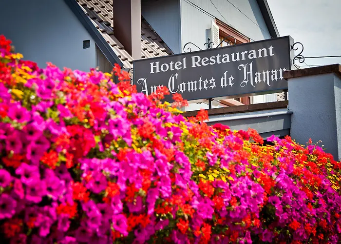 Logis Hotel Aux Comtes De Hanau