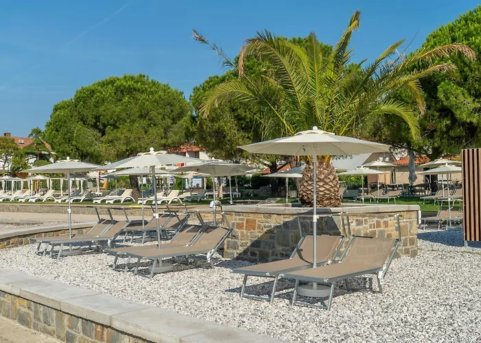 Hotel Vile Park Premium