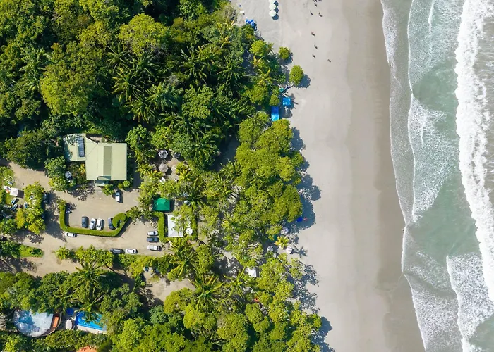 Buena Vista Plus