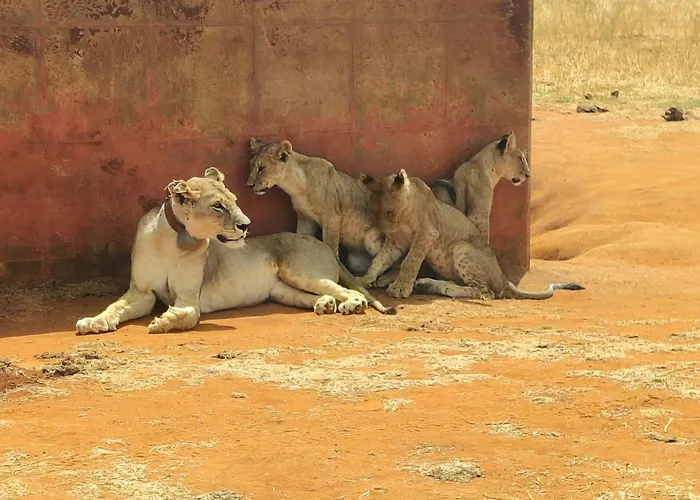 Tausa Tsavo Eco Lodge