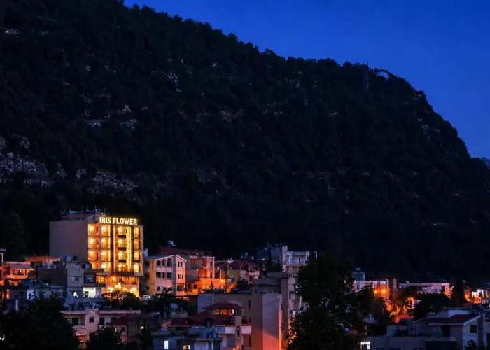 Iris Flower Hotel