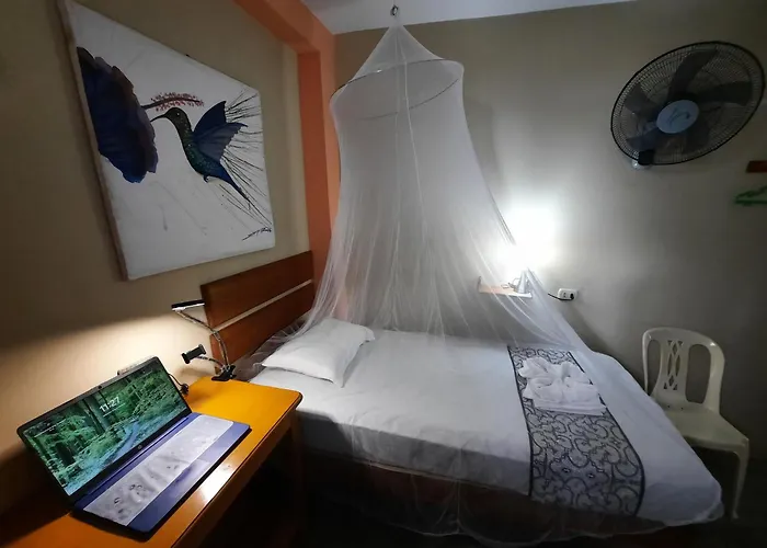 Amazon House Hostel