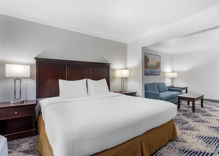 Best Western Plus Southpark Inn & Suites