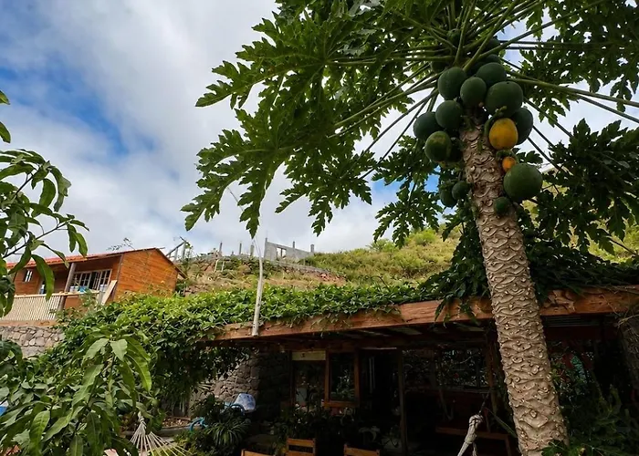 Pensao Asa Branca