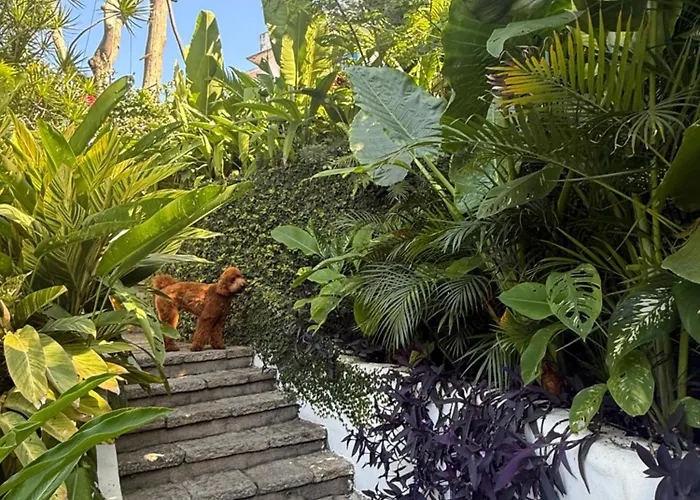 Raro Ipanema Boutique Hotel Rio de Janeiro