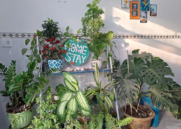 Ánh Dương Homestay - Coastal stop - Just 2 mins walking to Eo Gio