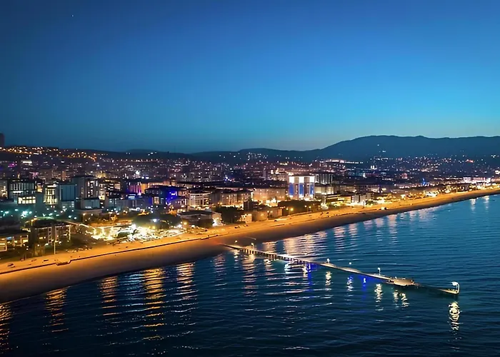 Pereira Samsun