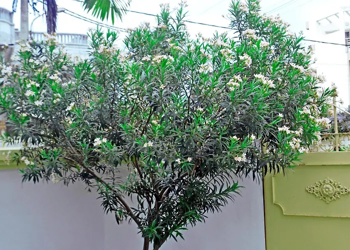 Beach Sand Hotel & Resort, Cotonou