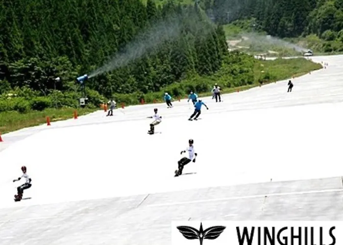Hotel Villa Wing - Vacation Stay 43138V