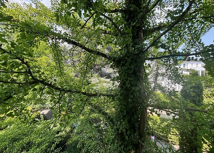 Pension Am Sueltebrunnen