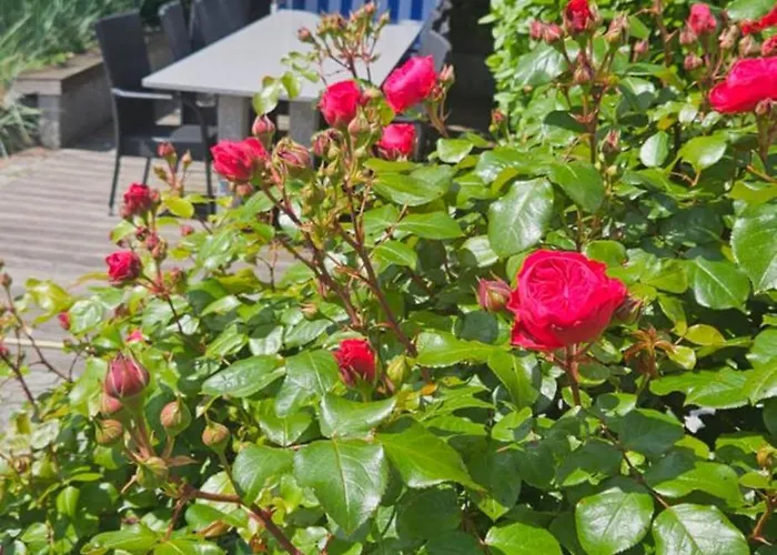 Strandhotel Sylt Wenningstedt