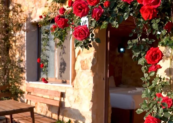 Dana Trail Hotel