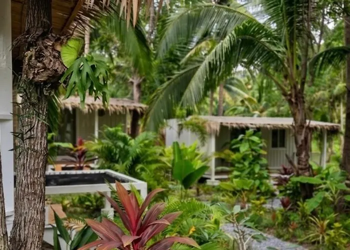 Secret Palm