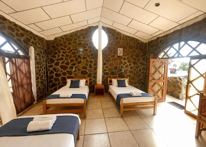 Penguin Hostel