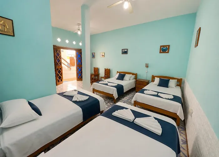 Penguin Hostel