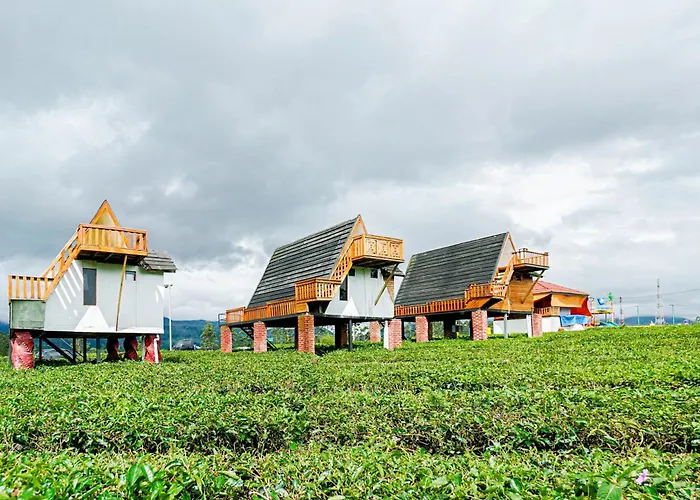 S Tilu Heroy Hill Resort Pangalengan Bandung Redpartner