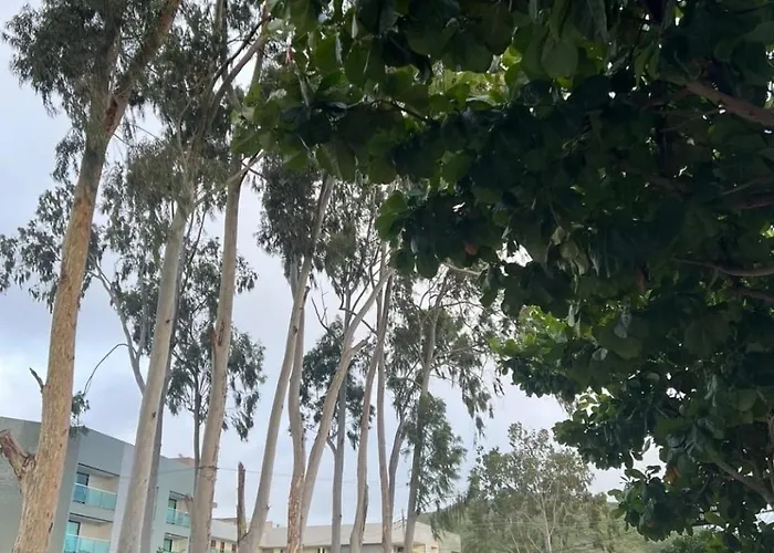 Hotel Jd