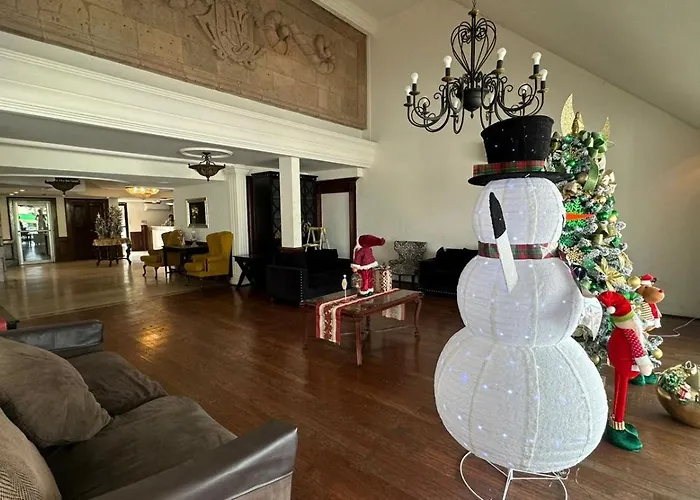 Hotel Virrey