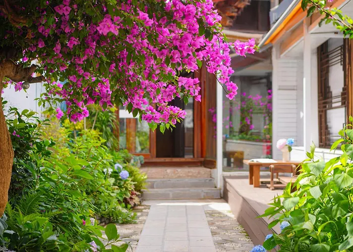 The Naxi Hereditary Courtyard - Chinese Nature'S Design Retreat - Talor Made Tours & Free Pick-Up From Airport Or Rs More Than 3 Nights