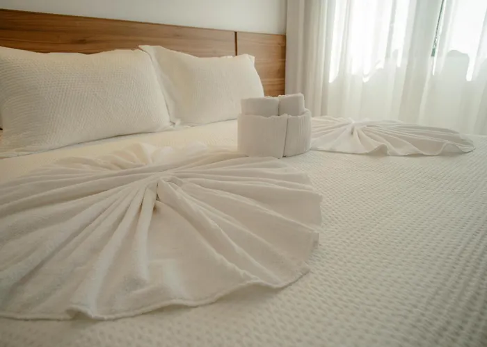 Hotel Pousada Henrique Lage