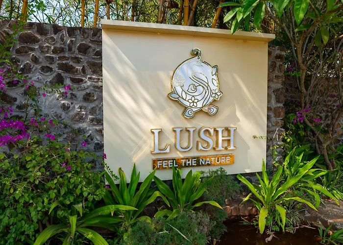 Alaya Stays Timber Pet-Friendly Premium Bamboo Cottages