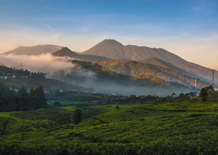 Koolkost @ Ikost Cimahpar Indah