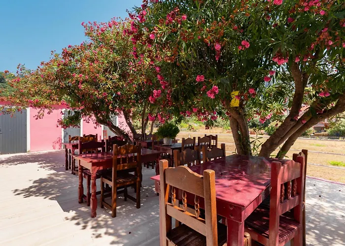 The Pink Palace Hotel