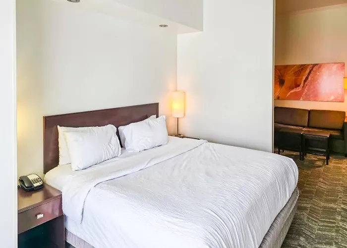 Springhill Suites By Marriott Ardmore
